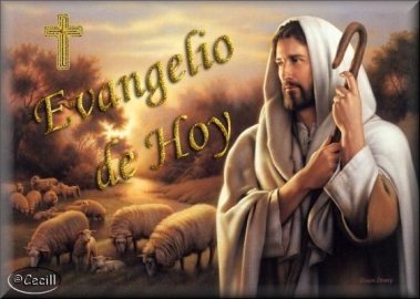 EVANGELIO REBAÑO DE HOY 2